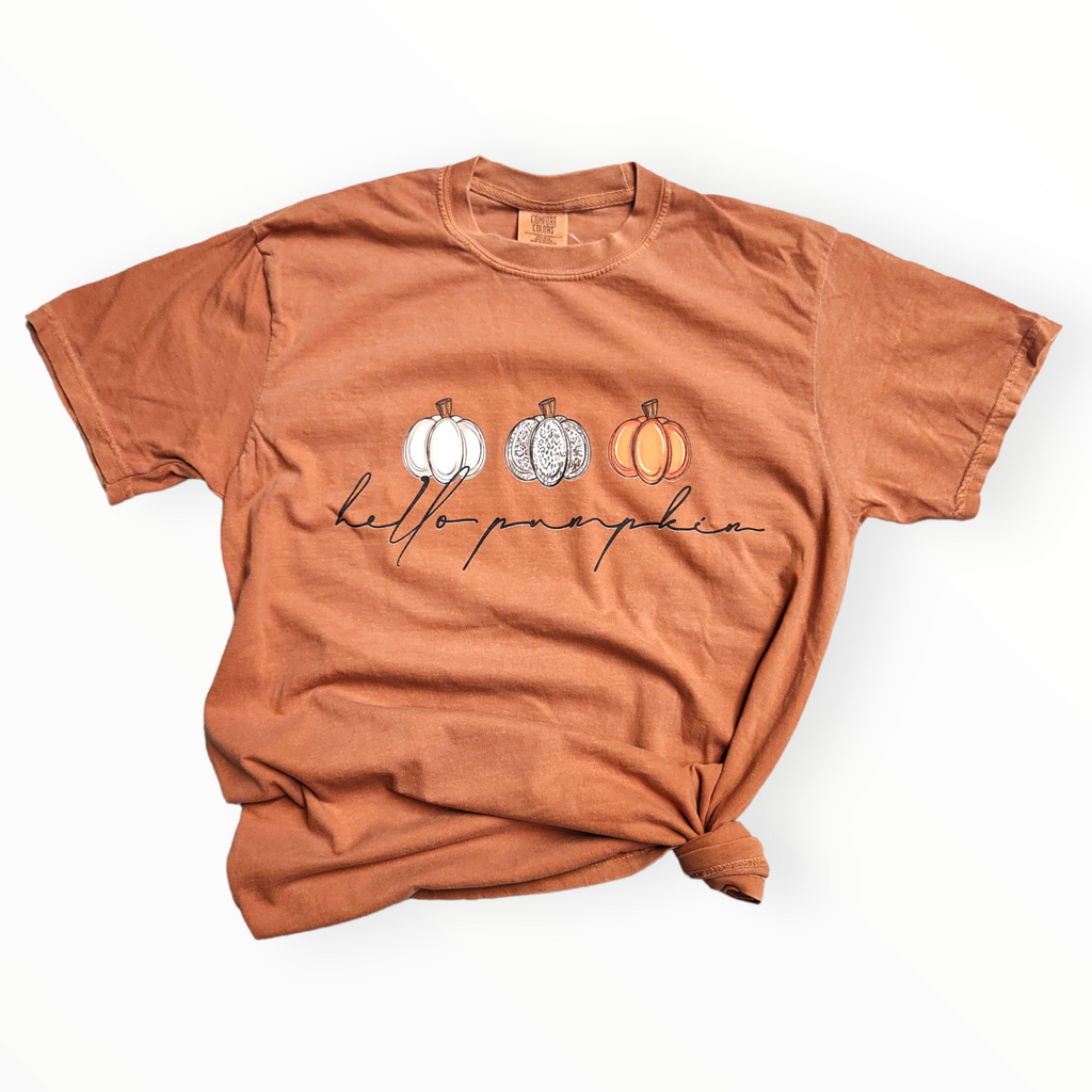Hello Pumpkin Comfort Colors Short Sleeve Tee - Yam-Apparel-LouisGeorge Boutique-LouisGeorge Boutique, Women’s Fashion Boutique Located in Trussville, Alabama